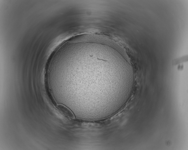 X0000097620242200803142008