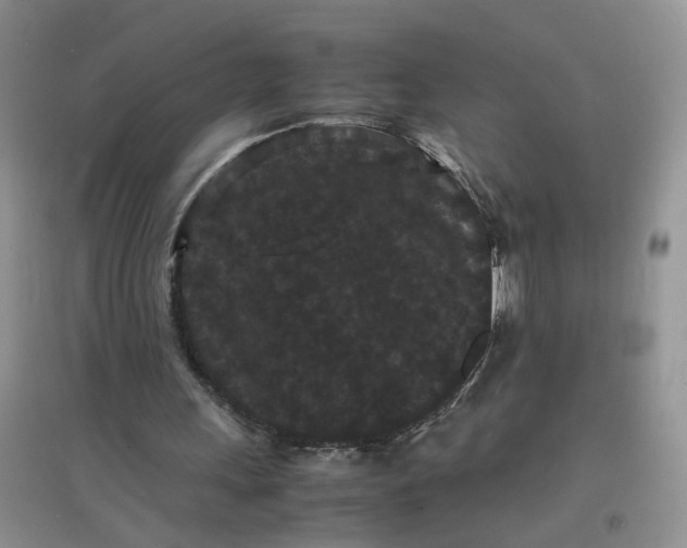 X0000097620243200803142008