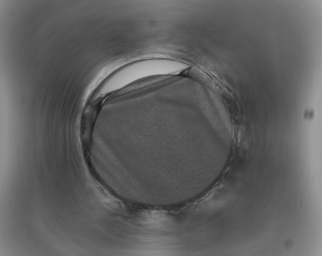 X0000097620244200803142008