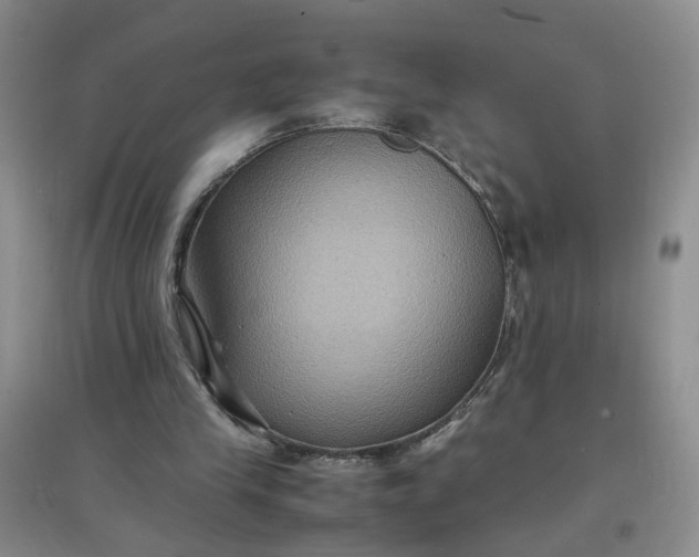 X0000097620245200803142008