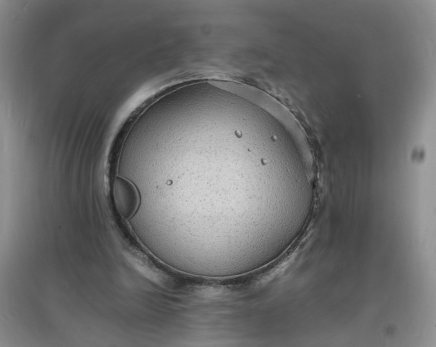 X0000097620246200803142008