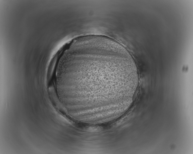 X0000097620248200803142008