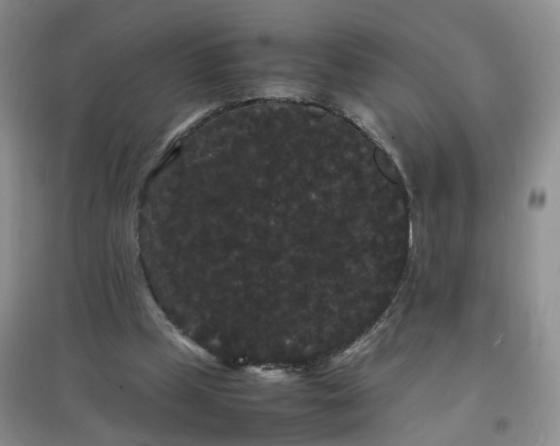 X0000097620249200803142008