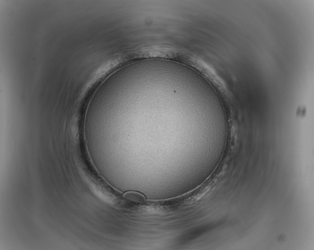 X0000097620250200803142008