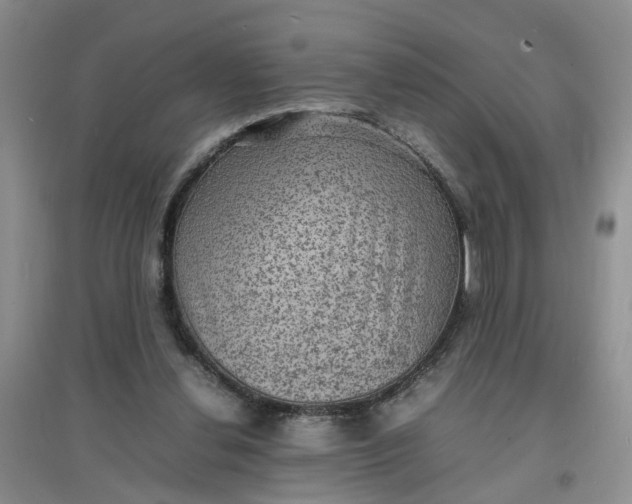 X0000097620252200803142008