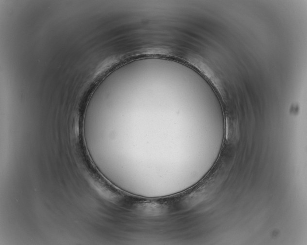 X0000097620253200803142008