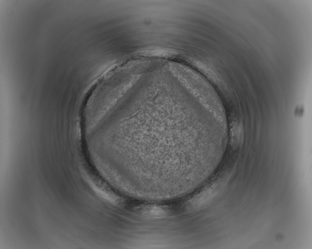X0000097620254200803142008