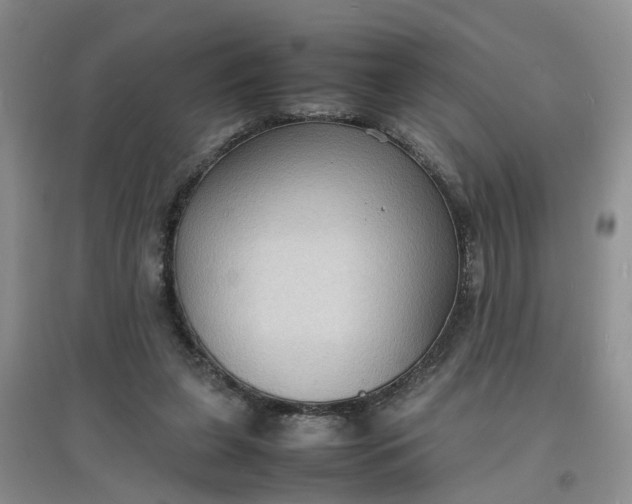 X0000097620255200803142008