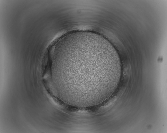 X0000097620256200803142008