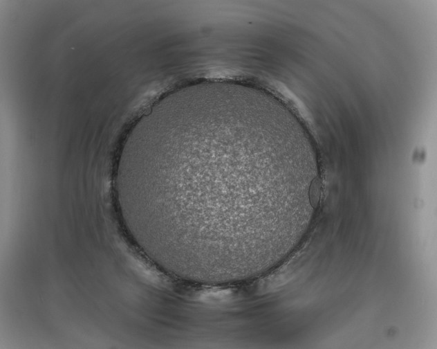 X0000097620257200803142008