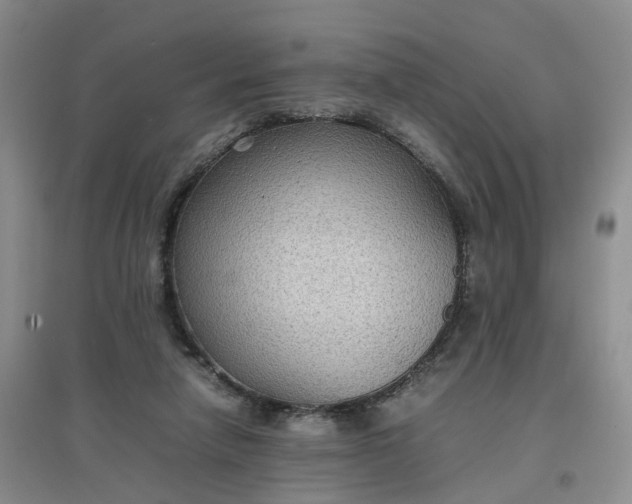 X0000097620258200803142008
