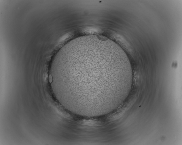X0000097620259200803142008