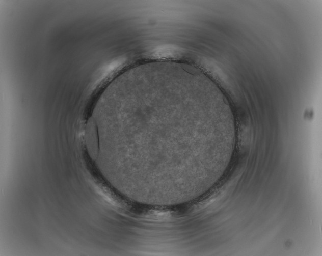X0000097620260200803142008