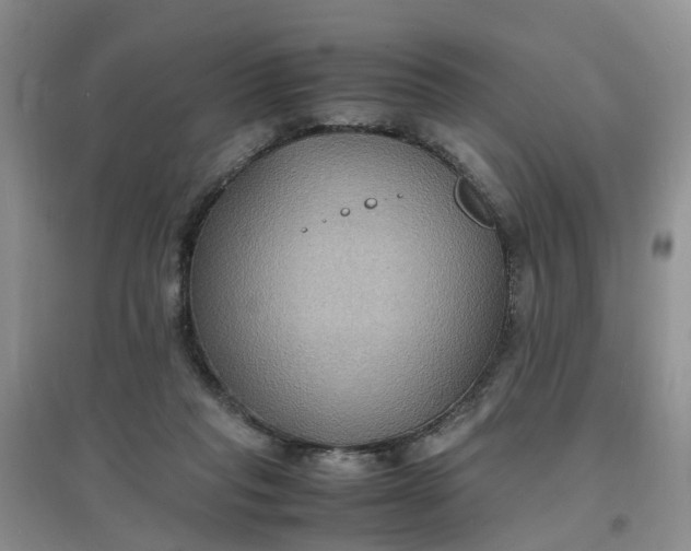 X0000097620261200803142009