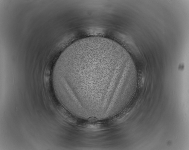 X0000097620263200803142009
