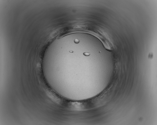 X0000097620265200803142009
