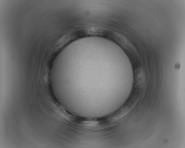 X0000097620266200803142009