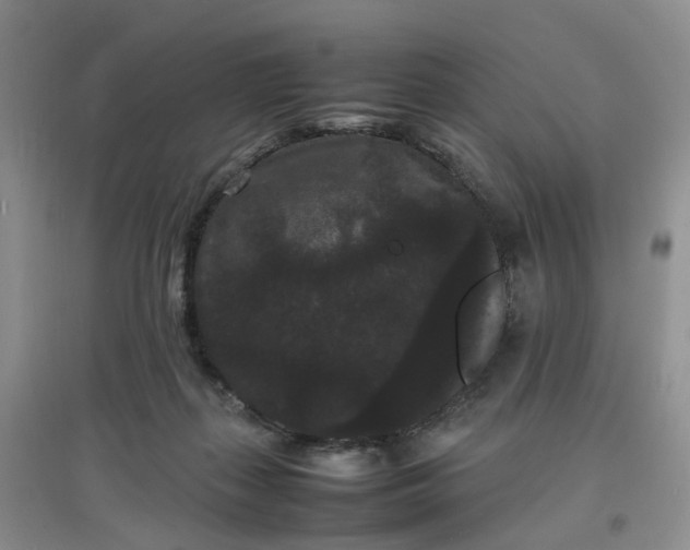 X0000097620267200803142009