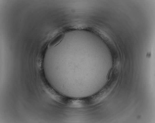 X0000097620268200803142009