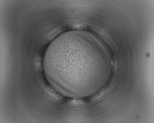 X0000097620270200803142009