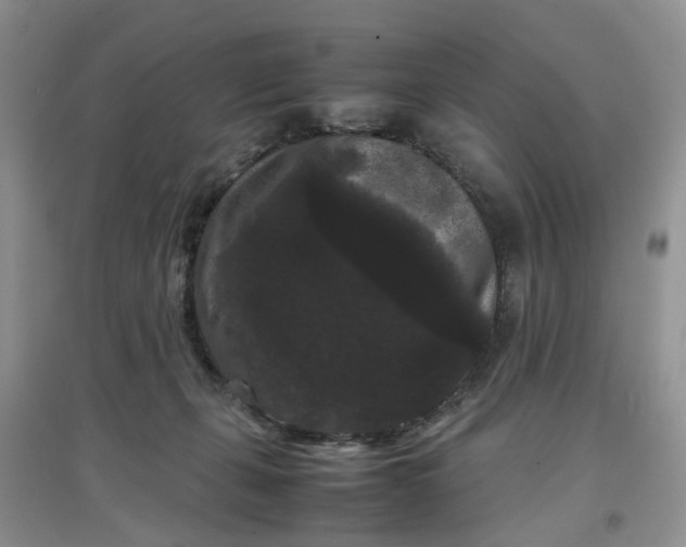 X0000097620271200803142009