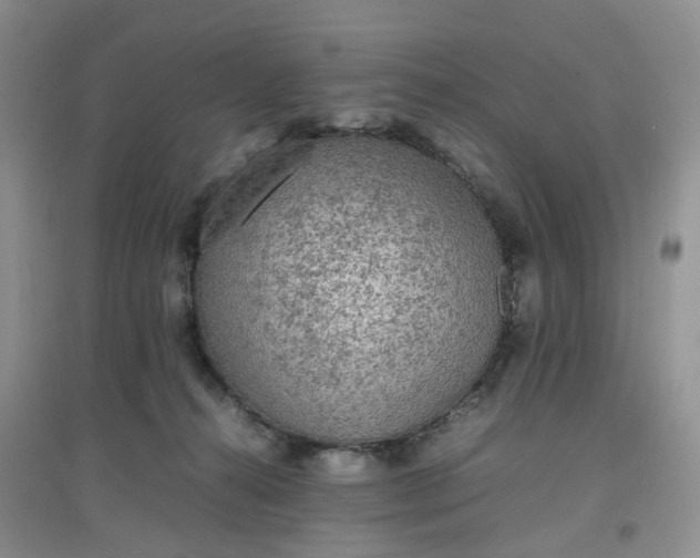 X0000097620272200803142009