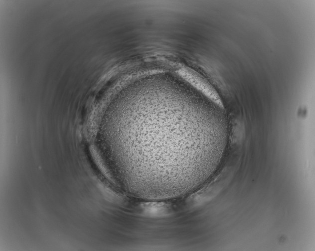 X0000097620273200803142009