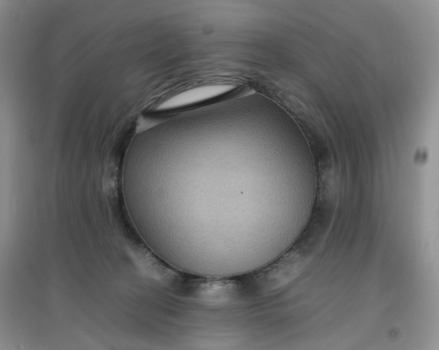 X0000097620274200803142009