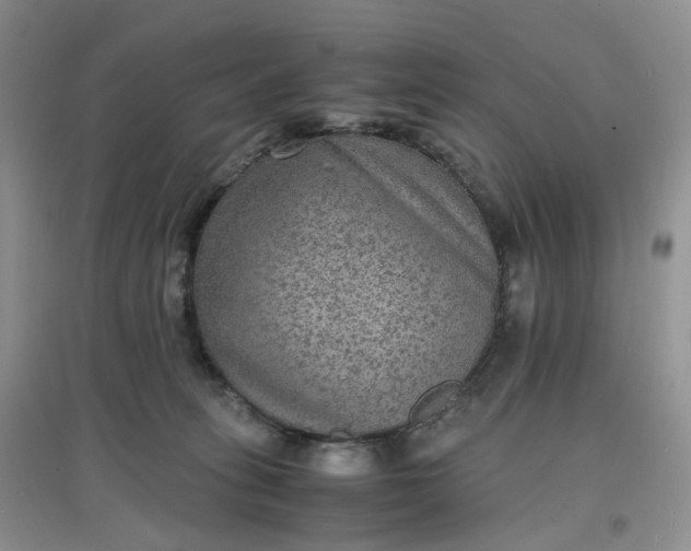 X0000097620275200803142009