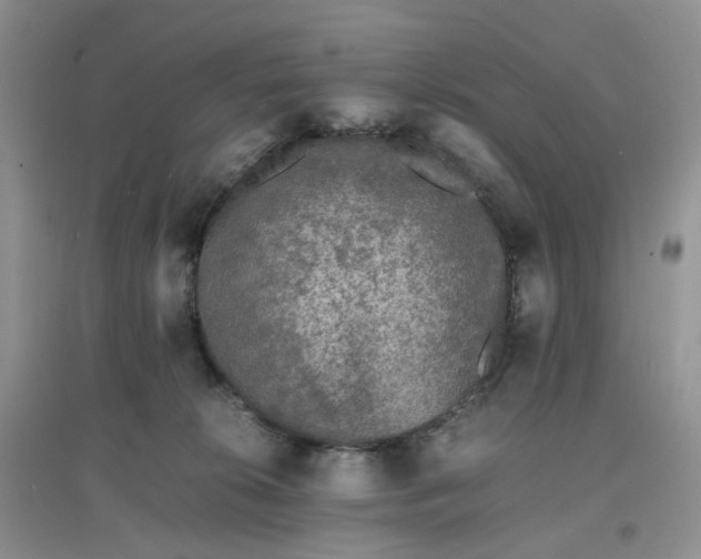 X0000097620276200803142009
