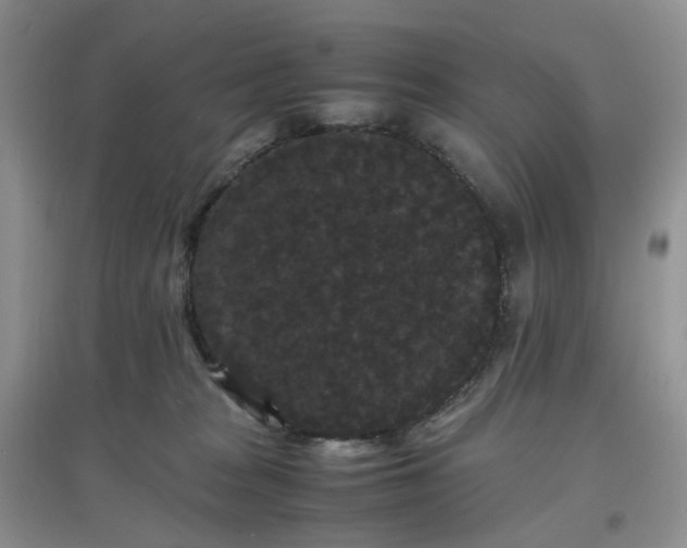 X0000097620277200803142009