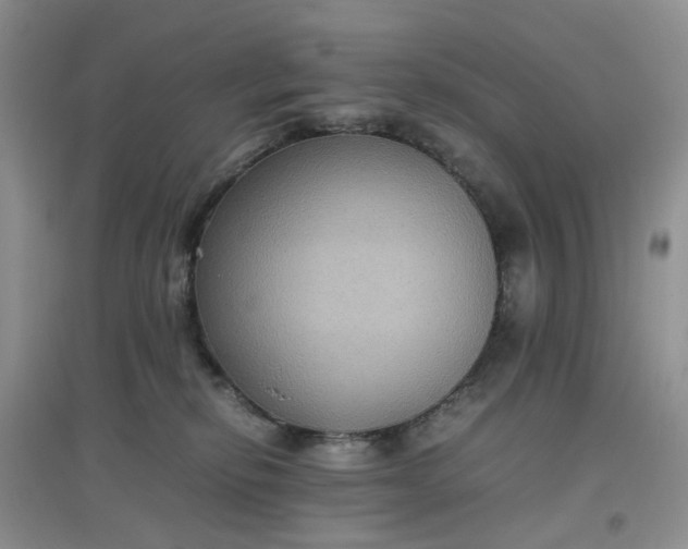 X0000097620278200803142009