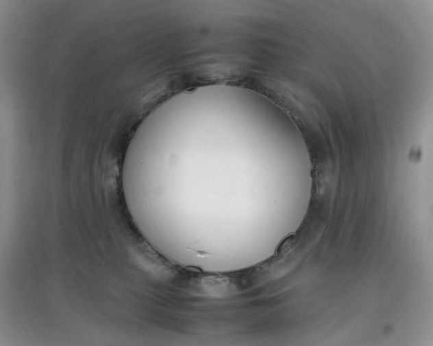 X0000097620279200803142009