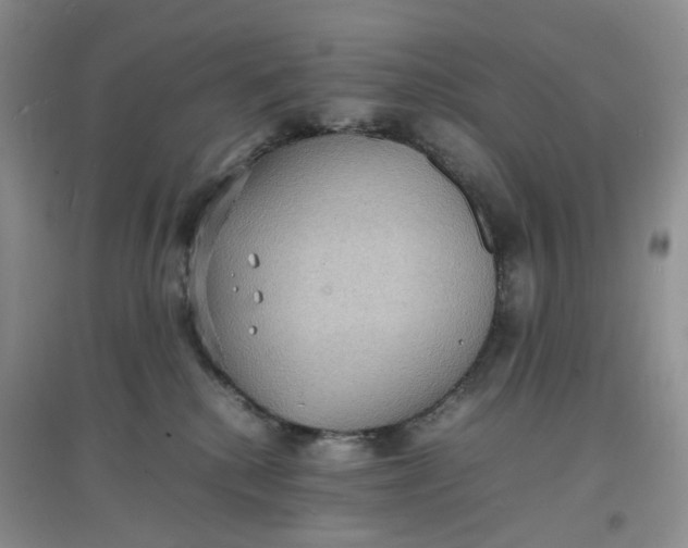 X0000097620280200803142009