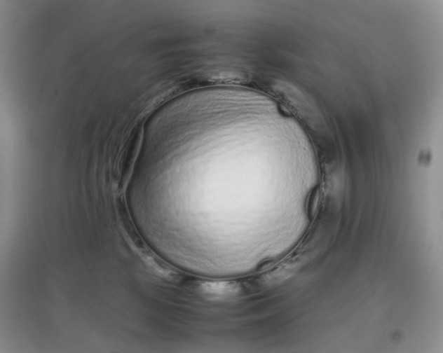 X0000097620281200803142009