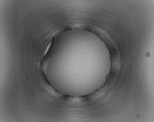 X0000097620282200803142009