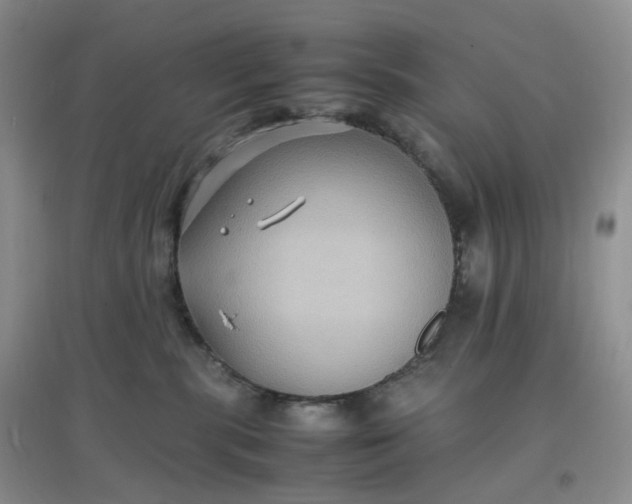 X0000097620283200803142009