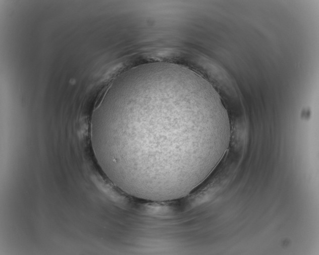 X0000097620284200803142009