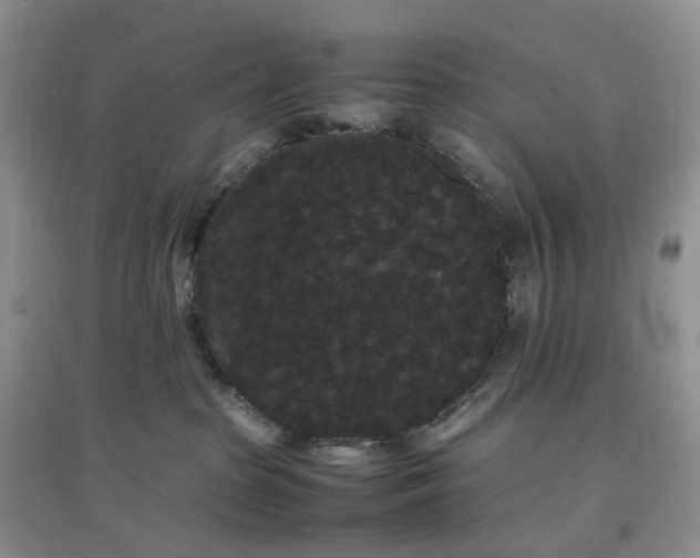 X0000097620285200803142009
