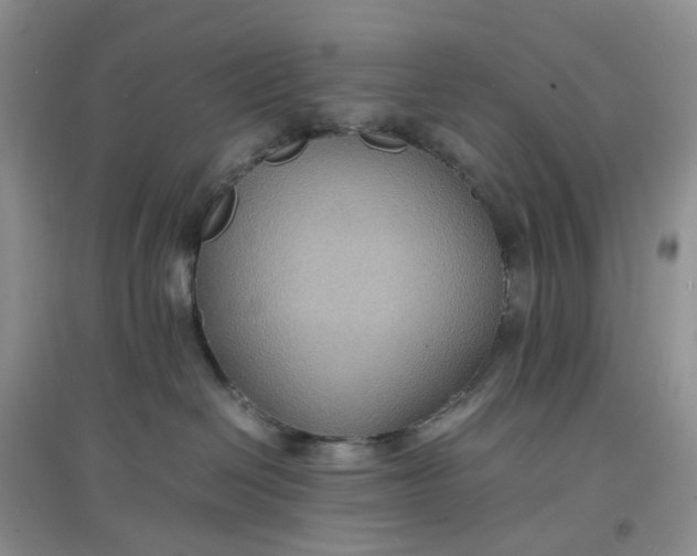 X0000097620286200803142009