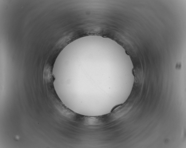 X0000097620287200803142009