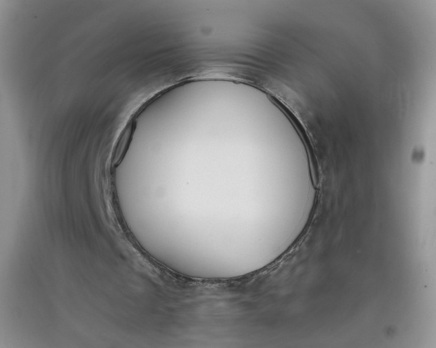 X0000097620289200803142008