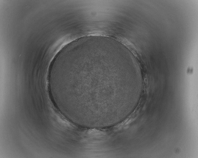 X0000097620290200803142008