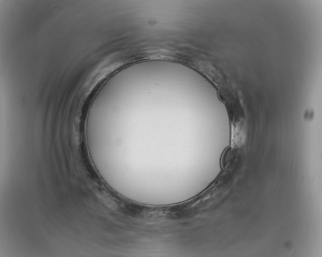 X0000097620291200803142008