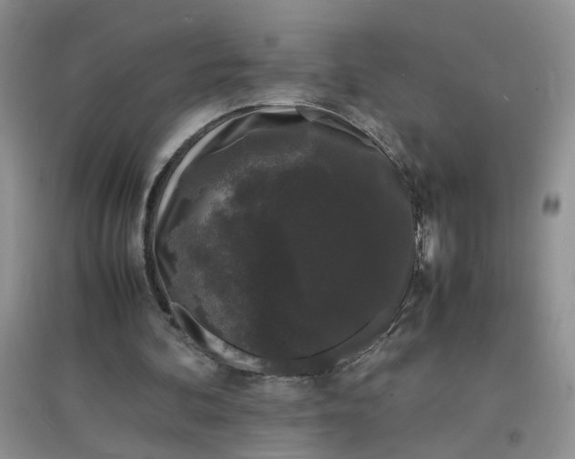 X0000097620292200803142008