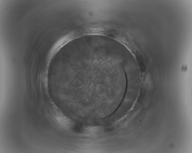 X0000097620293200803142008