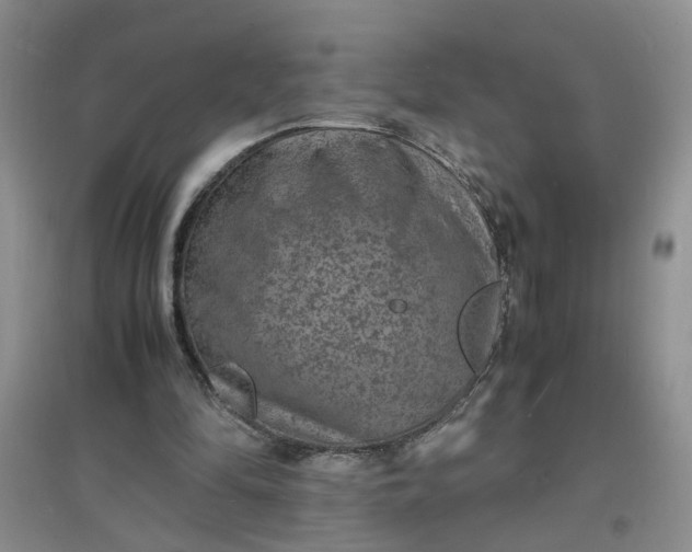 X0000097620294200803142008