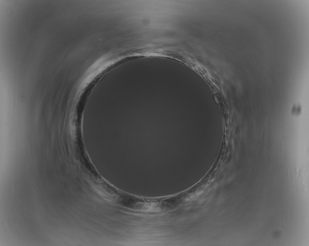 X0000097620295200803142008