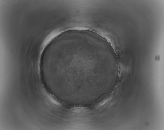 X0000097620296200803142008