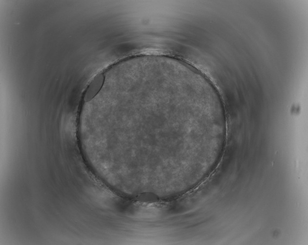 X0000097620297200803142008
